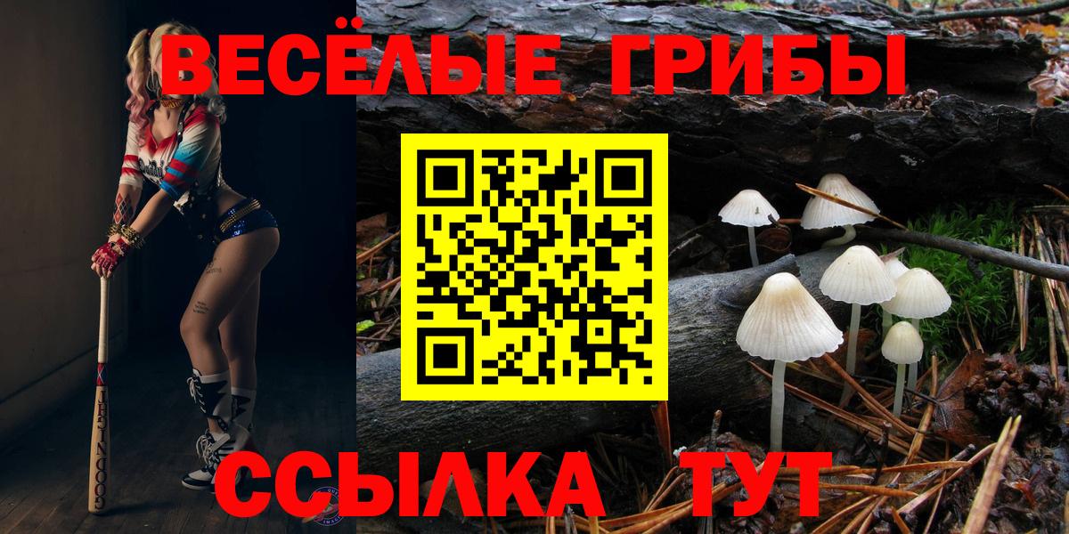 Нарткала  Галлюциногенные грибы Psilocybe  даркнет сайт  Вход с VPN 