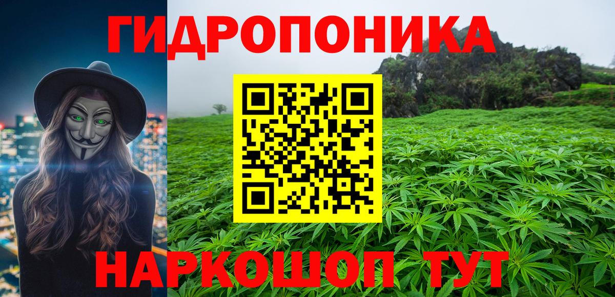 МАРИХУАНА гибрид  Вход с VPN  Бошки марихуана семена  Нарткала  Бошки марихуана план 